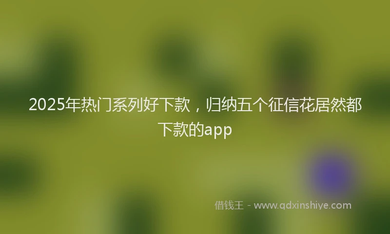 2025年热门系列好下款，归纳五个征信花居然都下款的app