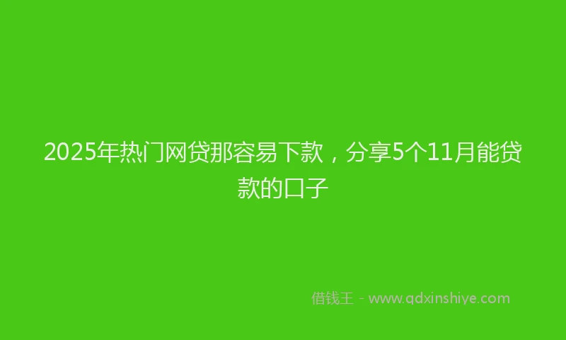 2025年热门网贷那容易下款，分享5个11月能贷款的口子