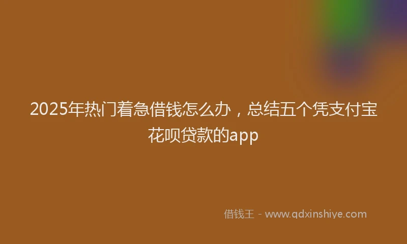 2025年热门着急借钱怎么办，总结五个凭支付宝花呗贷款的app
