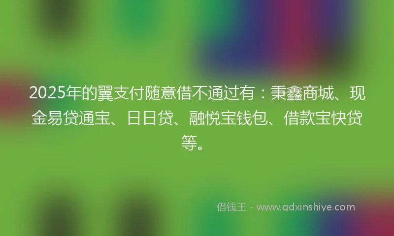 2025年的翼支付随意借不通过有:秉鑫商城、现金易贷通宝、日日贷、融悦宝钱包、借款宝快贷等。