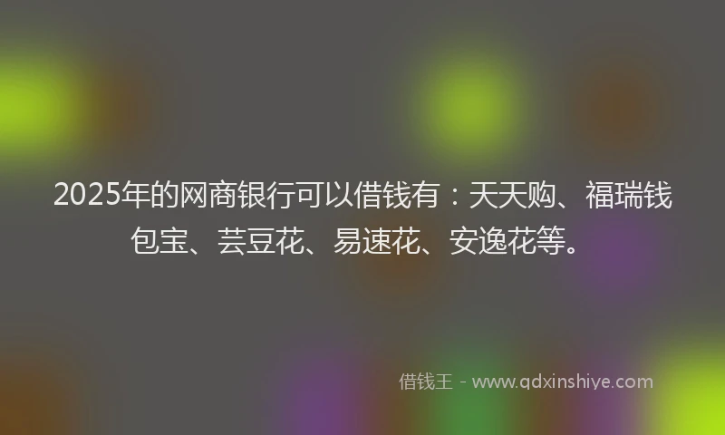 2025年的网商银行可以借钱有:天天购、福瑞钱包宝、芸豆花、易速花、安逸花等。