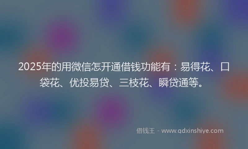 2025年的用微信怎开通借钱功能有：易得花、口袋花、优投易贷、三枝花、瞬贷通等。