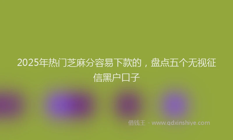 2025年热门芝麻分容易下款的，盘点五个无视征信黑户口子