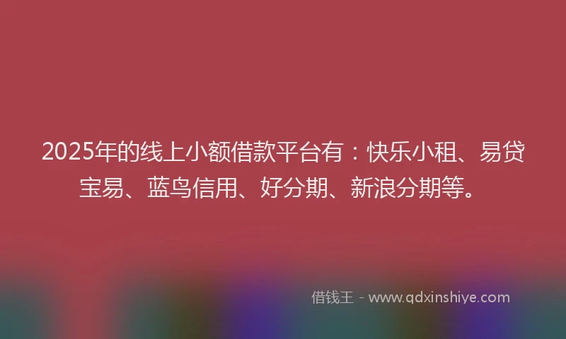 2025年的线上小额借款平台有：快乐小租、易贷宝易、蓝鸟信用、好分期、新浪分期等。