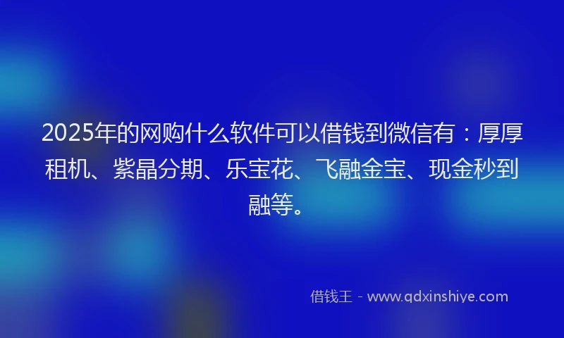 2025年的网购什么软件可以借钱到微信有：厚厚租机、紫晶分期、乐宝花、飞融金宝、现金秒到融等。