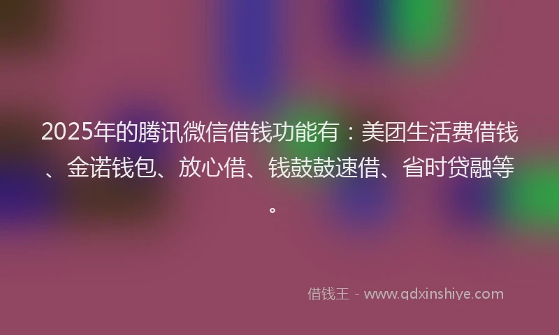 2025年的腾讯微信借钱功能有：美团生活费借钱、金诺钱包、放心借、钱鼓鼓速借、省时贷融等。