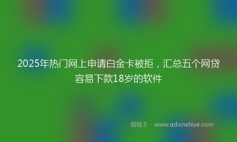 2025年热门网上申请白金卡被拒,汇总五个网贷容易下款18岁的软件