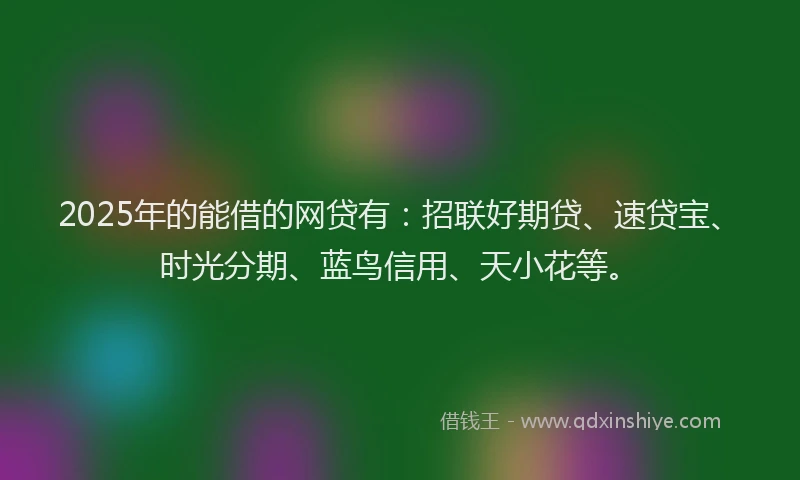 2025年的能借的网贷有：招联好期贷、速贷宝、时光分期、蓝鸟信用、天小花等。