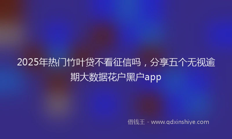 2025年热门竹叶贷不看征信吗，分享五个无视逾期大数据花户黑户app