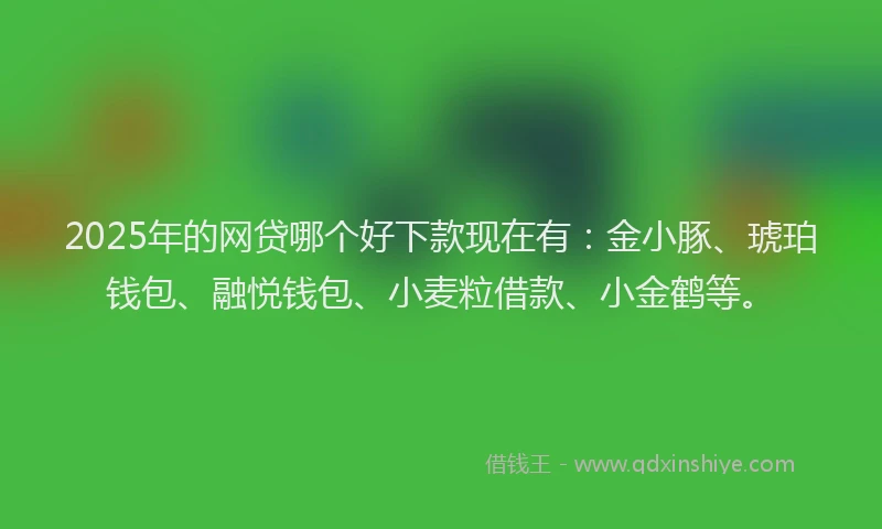 2025年的网贷哪个好下款现在有：金小豚、琥珀钱包、融悦钱包、小麦粒借款、小金鹤等。