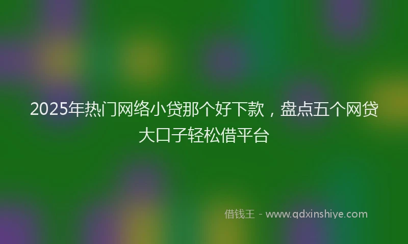 2025年热门网络小贷那个好下款，盘点五个网贷大口子轻松借平台