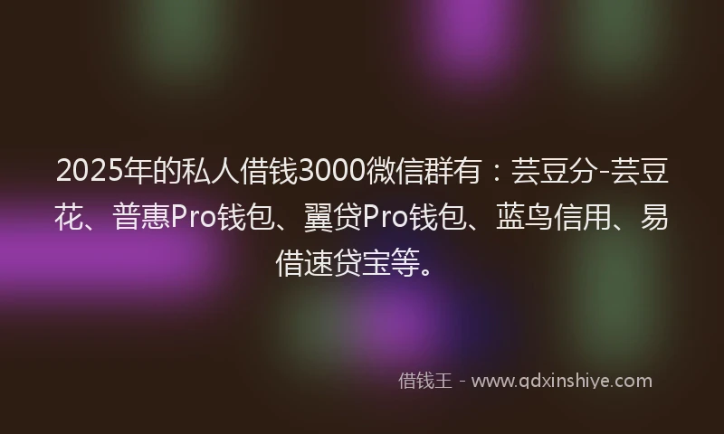 2025年的私人借钱3000微信群有：芸豆分-芸豆花、普惠Pro钱包、翼贷Pro钱包、蓝鸟信用、易借速贷宝等。