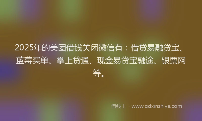 2025年的美团借钱关闭微信有:借贷易融贷宝、蓝莓买单、掌上贷通、现金易贷宝融途、银票网等。
