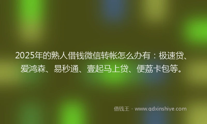 2025年的熟人借钱微信转帐怎么办有：极速贷、爱鸿森、易秒通、壹起马上贷、便荔卡包等。