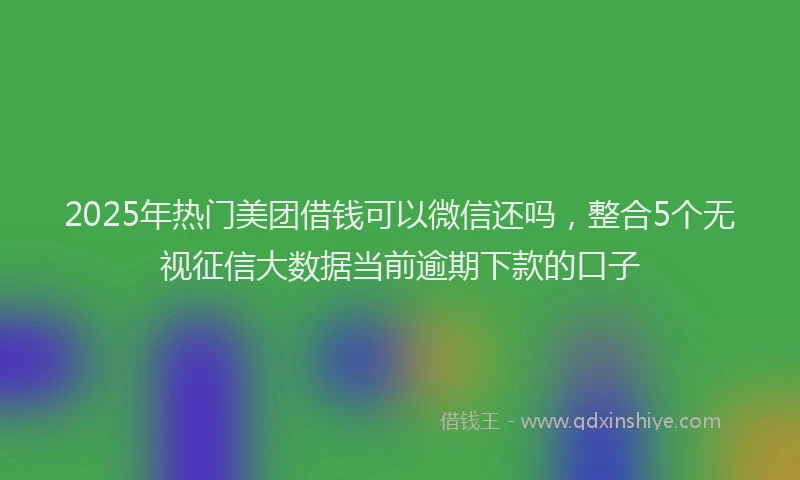 2025年热门美团借钱可以微信还吗，整合5个无视征信大数据当前逾期下款的口子