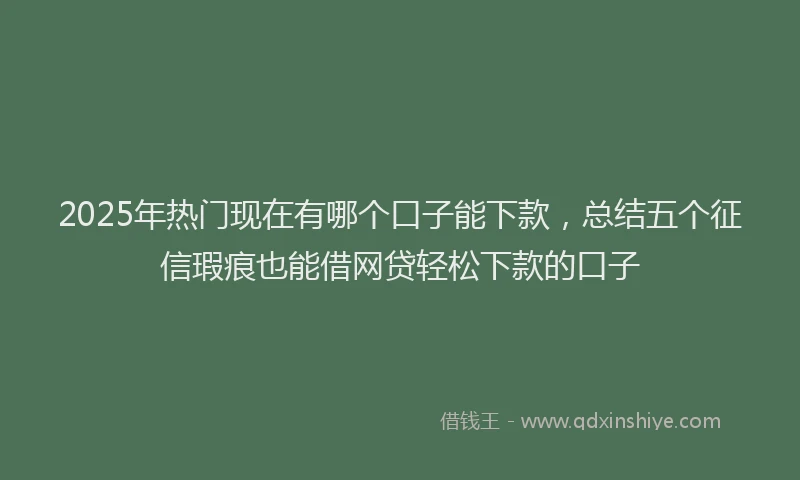 2025年热门现在有哪个口子能下款，总结五个征信瑕疵也能借网贷轻松下款的口子