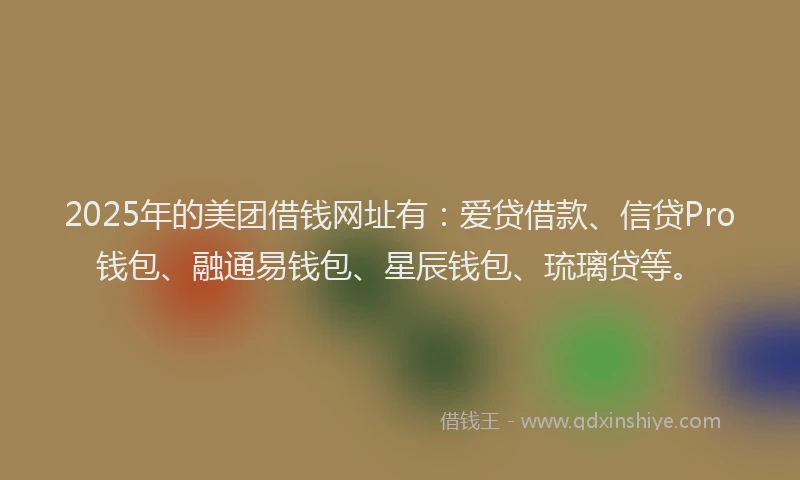 2025年的美团借钱网址有：爱贷借款、信贷Pro钱包、融通易钱包、星辰钱包、琉璃贷等。