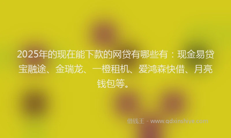 2025年的现在能下款的网贷有哪些有：现金易贷宝融途、金瑞龙、一橙租机、爱鸿森快借、月亮钱包等。