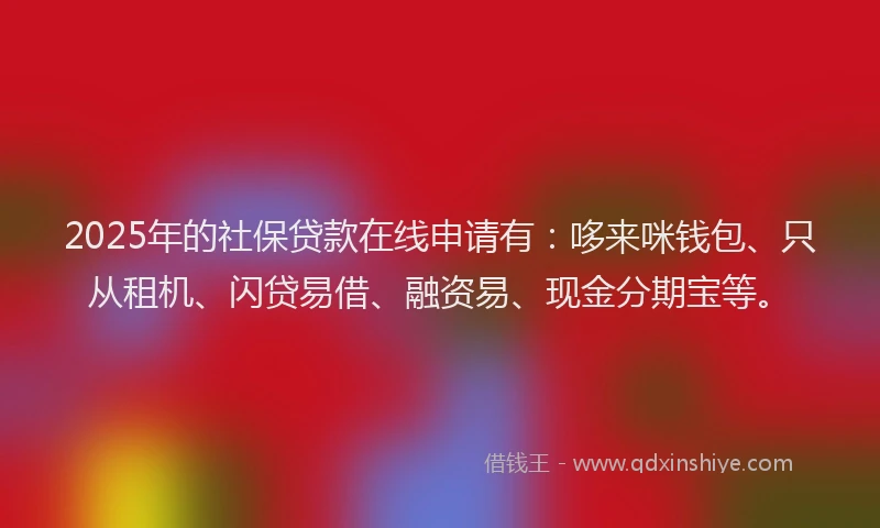 2025年的社保贷款在线申请有：哆来咪钱包、只从租机、闪贷易借、融资易、现金分期宝等。
