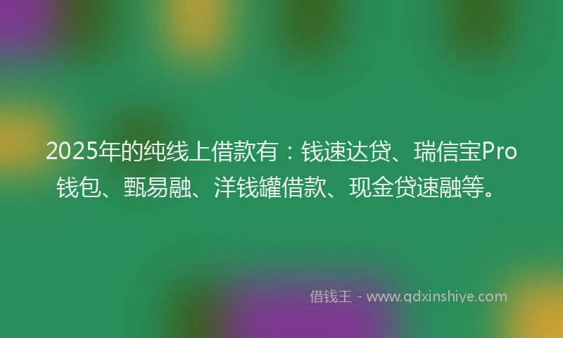2025年的纯线上借款有：钱速达贷、瑞信宝Pro钱包、甄易融、洋钱罐借款、现金贷速融等。