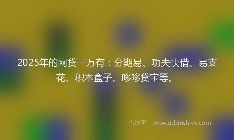 2025年的网贷一万有：分期易、功夫快借、易支花、积木盒子、哆哆贷宝等。