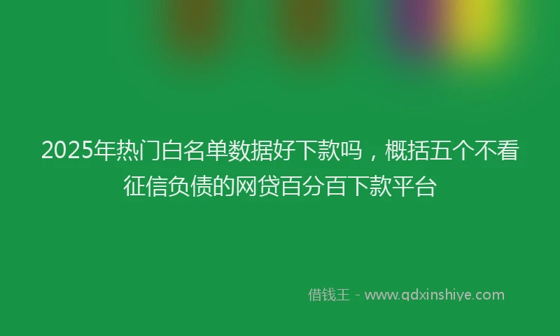 2025年热门白名单数据好下款吗，概括五个不看征信负债的网贷百分百下款平台