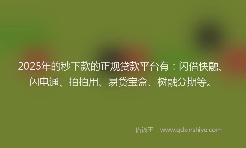 2025年的秒下款的正规贷款平台有：闪借快融、闪电通、拍拍用、易贷宝盒、树融分期等。