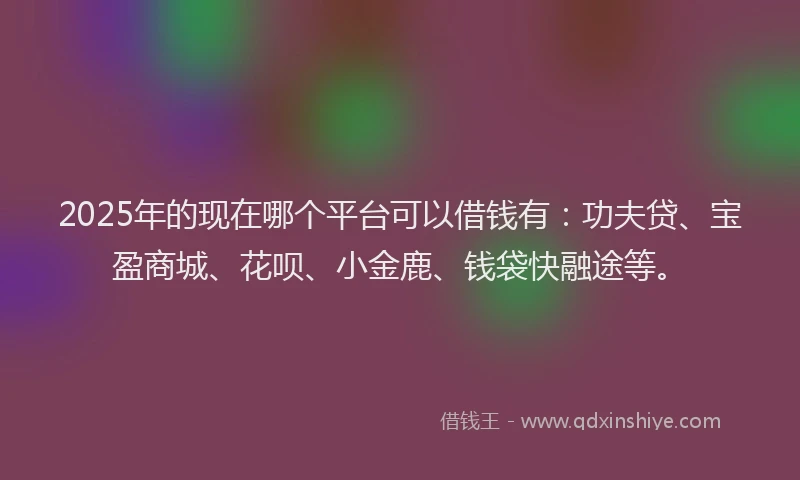 2025年的现在哪个平台可以借钱有:功夫贷、宝盈商城、花呗、小金鹿、钱袋快融途等。