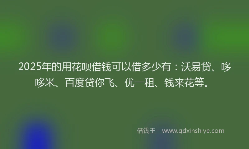 2025年的用花呗借钱可以借多少有:沃易贷、哆哆米、百度贷你飞、优一租、钱来花等。