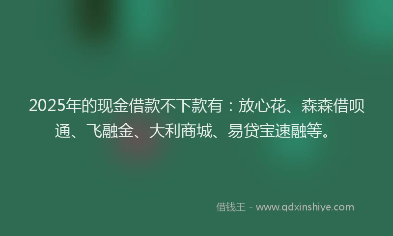 2025年的现金借款不下款有:放心花、森森借呗通、飞融金、大利商城、易贷宝速融等。