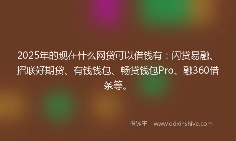 2025年的现在什么网贷可以借钱有:闪贷易融、招联好期贷、有钱钱包、畅贷钱包Pro、融360借条等。
