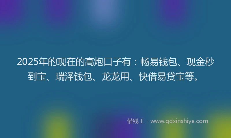 2025年的现在的高炮口子有：畅易钱包、现金秒到宝、瑞泽钱包、龙龙用、快借易贷宝等。