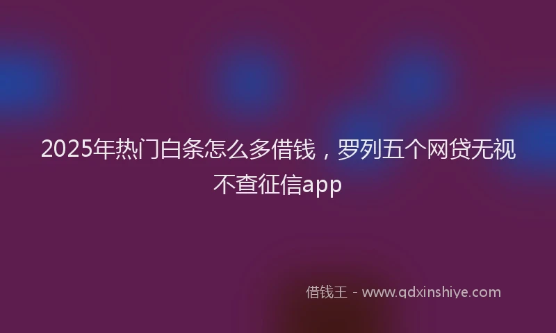 2025年热门白条怎么多借钱，罗列五个网贷无视不查征信app