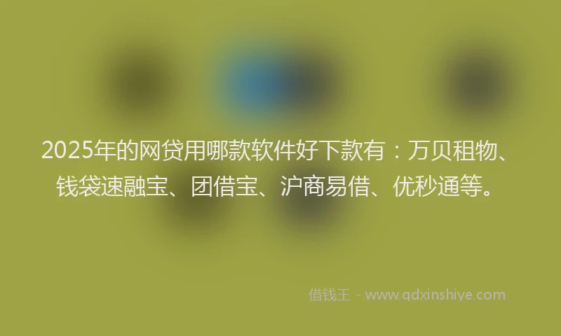 2025年的网贷用哪款软件好下款有：万贝租物、钱袋速融宝、团借宝、沪商易借、优秒通等。