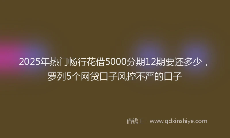 2025年热门畅行花借5000分期12期要还多少，罗列5个网贷口子风控不严的口子