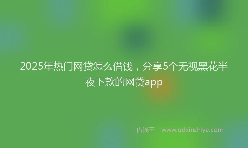 2025年热门网贷怎么借钱,分享5个无视黑花半夜下款的网贷app