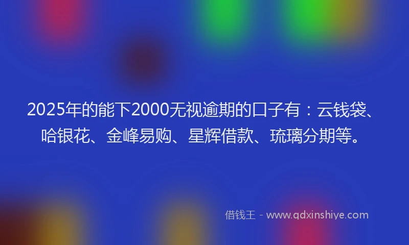 2025年的能下2000无视逾期的口子有：云钱袋、哈银花、金峰易购、星辉借款、琉璃分期等。