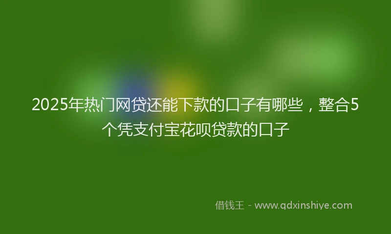 2025年热门网贷还能下款的口子有哪些，整合5个凭支付宝花呗贷款的口子