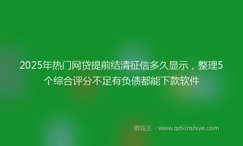 2025年热门网贷提前结清征信多久显示，整理5个综合评分不足有负债都能下款软件