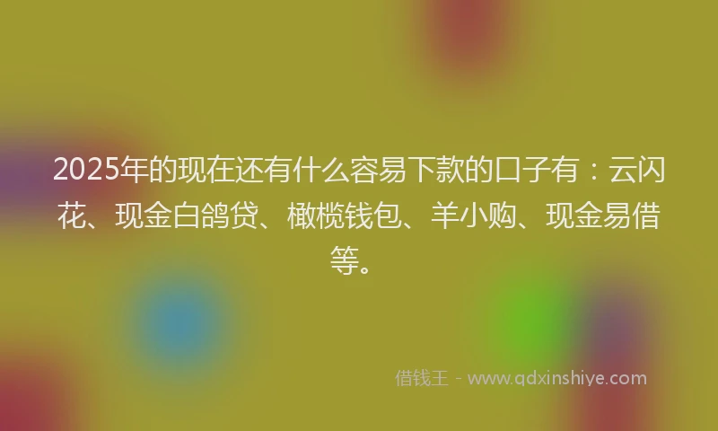 2025年的现在还有什么容易下款的口子有：云闪花、现金白鸽贷、橄榄钱包、羊小购、现金易借等。