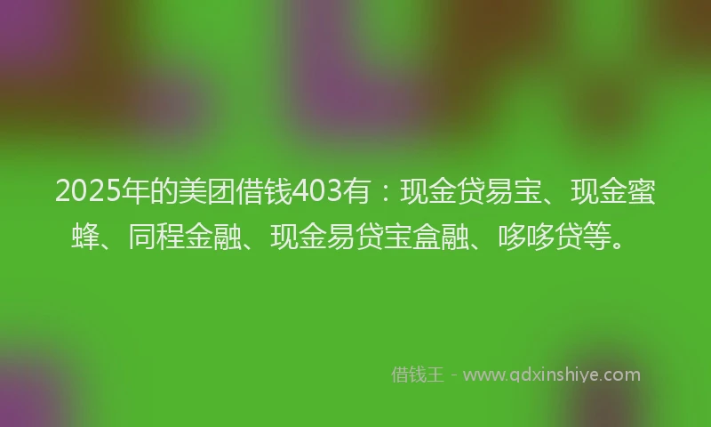 2025年的美团借钱403有:现金贷易宝、现金蜜蜂、同程金融、现金易贷宝盒融、哆哆贷等。