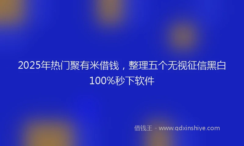2025年热门聚有米借钱，整理五个无视征信黑白100%秒下软件