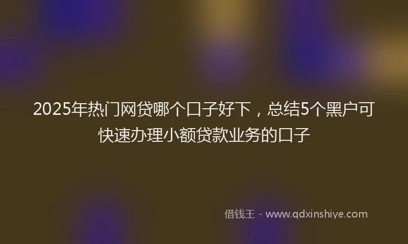 2025年热门网贷哪个口子好下，总结5个黑户可快速办理小额贷款业务的口子