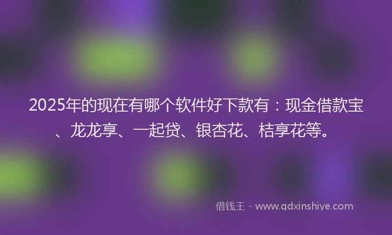 2025年的现在有哪个软件好下款有:现金借款宝、龙龙享、一起贷、银杏花、桔享花等。