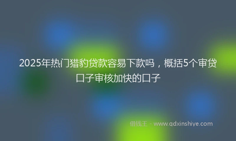 2025年热门猎豹贷款容易下款吗，概括5个审贷口子审核加快的口子