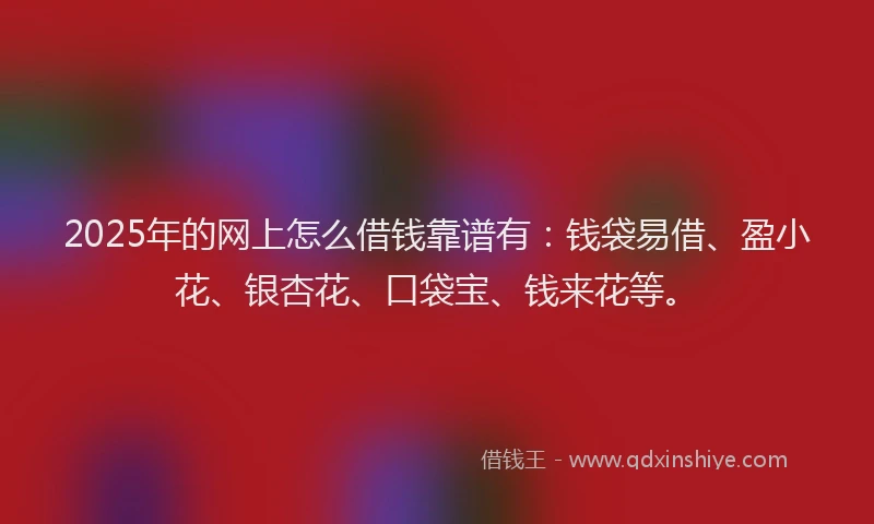 2025年的网上怎么借钱靠谱有：钱袋易借、盈小花、银杏花、口袋宝、钱来花等。