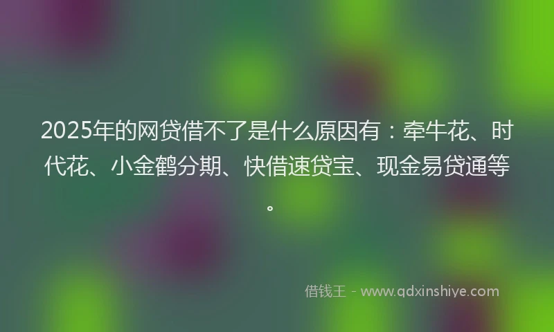 2025年的网贷借不了是什么原因有：牵牛花、时代花、小金鹤分期、快借速贷宝、现金易贷通等。