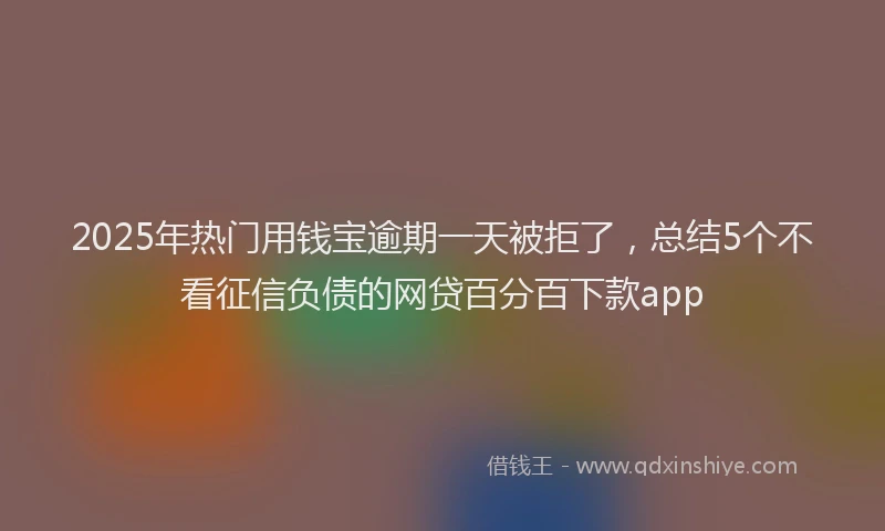 2025年热门用钱宝逾期一天被拒了，总结5个不看征信负债的网贷百分百下款app