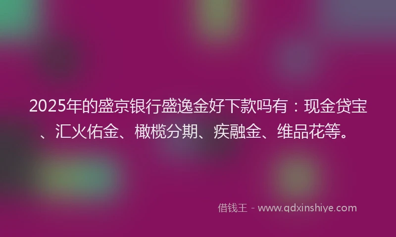 2025年的盛京银行盛逸金好下款吗有：现金贷宝、汇火佑金、橄榄分期、疾融金、维品花等。