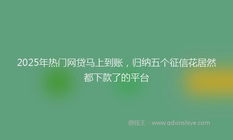 2025年热门网贷马上到账，归纳五个征信花居然都下款了的平台
